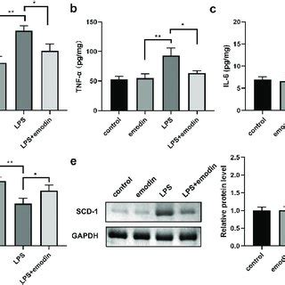 Emodin Relieved The Inflammation In Lps Treated N Cells A D