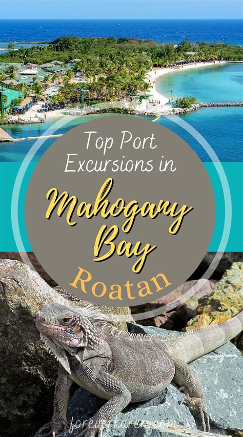 Great Things To Do In Mahogany Bay Roatan Artofit