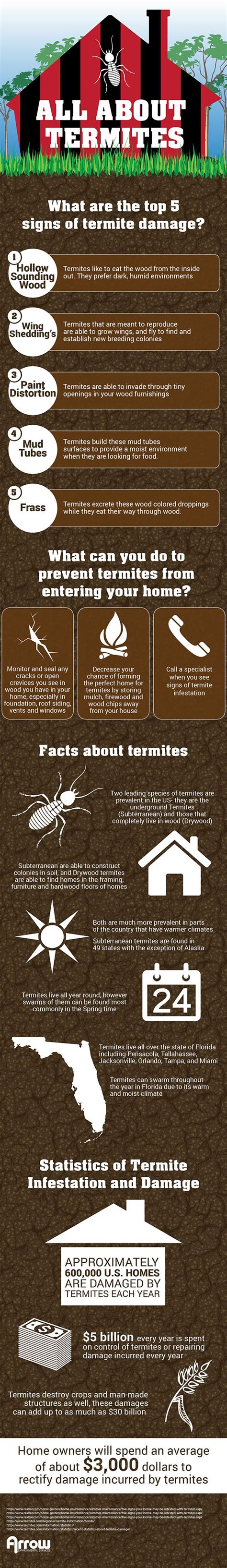 The Top 5 Signs Of Termite Damage Termite Damage Signs Of Termites