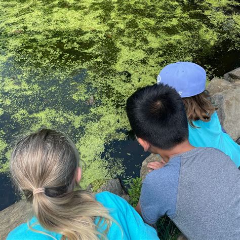 Yesterday was... - Riverbend Environmental Education Center