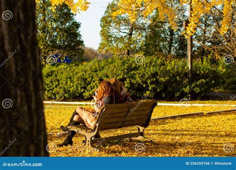 Back View Of Two Friends On A Japanese Park Bench During Autumn Stock