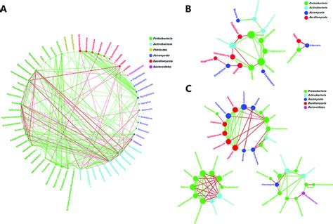 Visualization Of Microbial Community Co Occurrence Network Properties