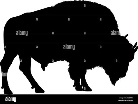 Bison Silhouette Isolated On A White Background Vector Illustration