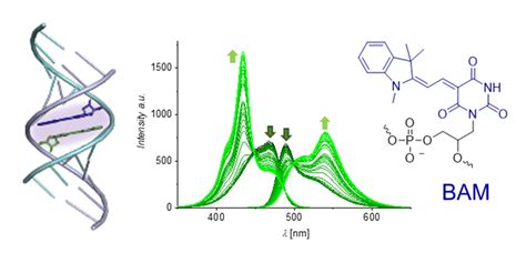 Nucleic Acid Assemblies THE HÖBARTNER GROUP ORGANIC AND BIOMOLECULAR