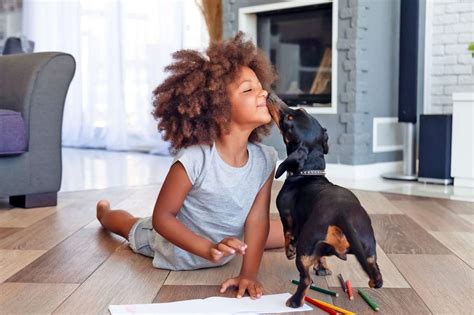 A Los Perros Les Gustan Los Besos La Respuesta Podr A Sorprenderte