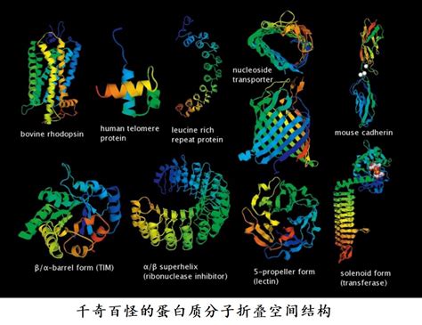 科学网—蛋白质与生命 俞宁的博文