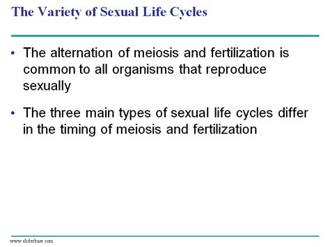 The Variety Of Sexual Life Cycles