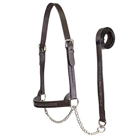 Derby Round Leather Cattle Dairybeef Show Halter With Lead Warm Havana