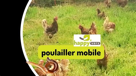 Les Avantages Dun Poulailler Mobile X Lombricompostage Youtube