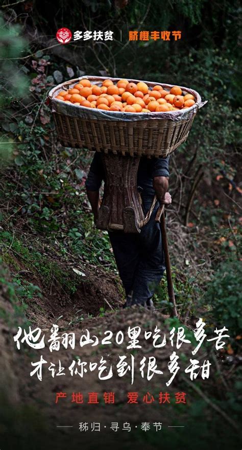 拼多多攜手三大臍橙產區 助力國家級貧困縣脫貧攻堅 每日頭條