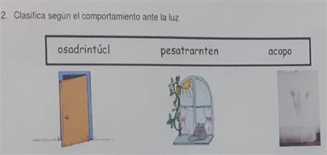 Ayuda Porfa Unu Lo Nesecito Tema La Luz Brainly Lat