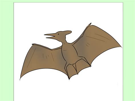 How to Draw a Pterodactyl: 6 Steps (with Pictures) - wikiHow