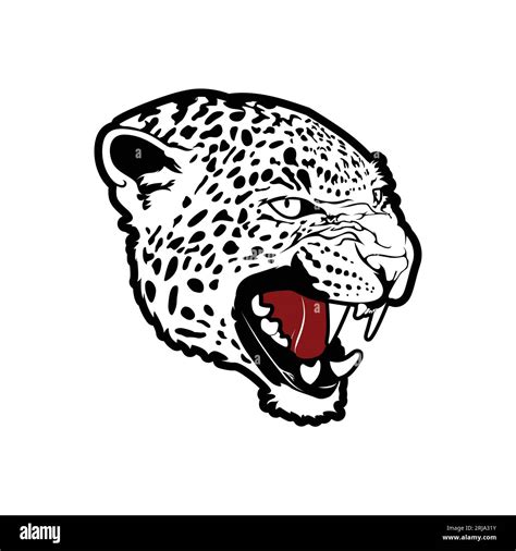 Roaring Cheetah Head Vector Panther Head Leopard Tiger Jaguar Puma Design Inspiration Stock