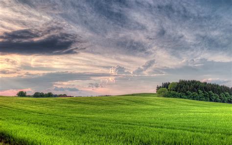 Online Crop Green Grass Field Nature Clouds Trees Landscape Hd