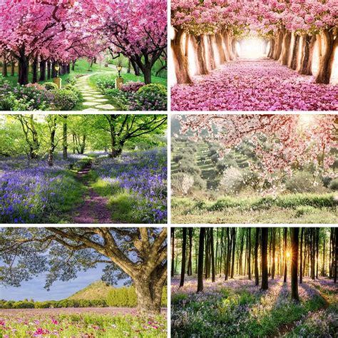 Laeacco Fr Hling Wald Blumen Blossom Baum Kunst Gr Nland Nat Rliche