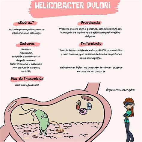 Lbumes Foto Como Eliminar De Ra Z La Bacteria Helicobacter Pylori