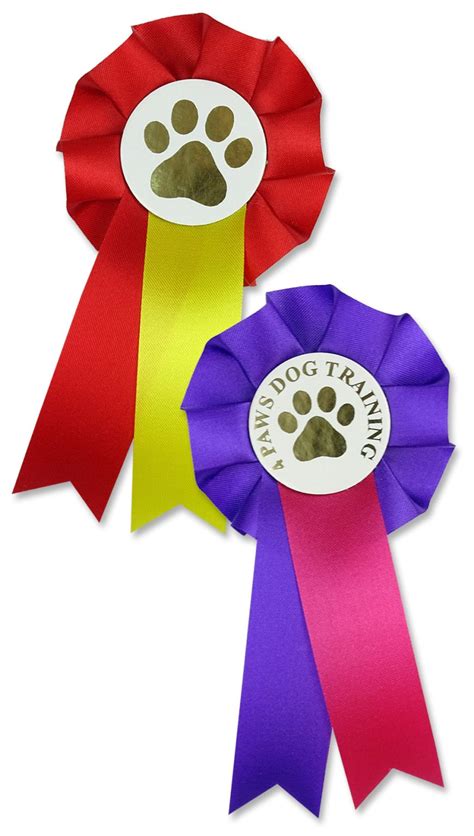 Votes For Women Suffragette Rosette Frosts Rosettes