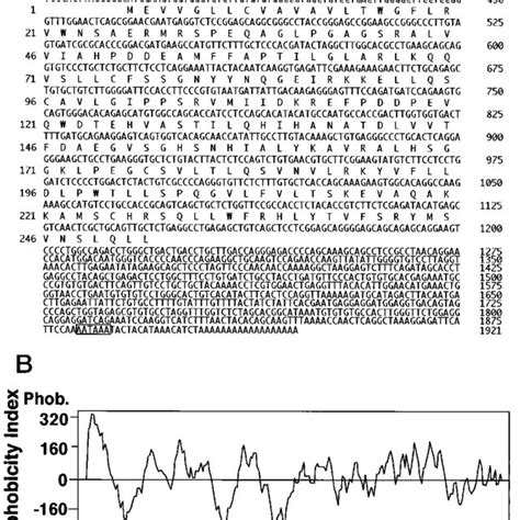 Comparison Of Deduced Amino Acid Sequence Of Pig L With Those Of S