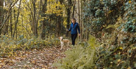 Dagje Weg Met Hond In Zuid Holland Het Kan Hier Dagjeweg Nl