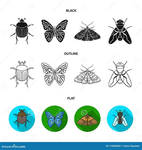 Wrecker Parasite Nature Butterfly Insects Set Collection Icons In