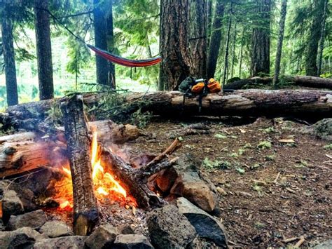 How To Set Up A Forest School The Outdoors Group