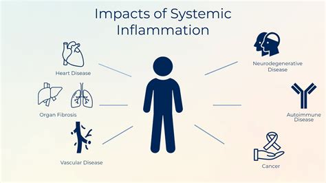 What Is Inflammation The Center For Inflammation Science And Systems