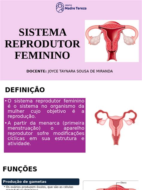 O Sistema Reprodutor Feminino Desempenha As Seguintes Funções Exceto - Estrutura e Funções do Sistema Reprodutor Feminino | PDF | Sistema ...