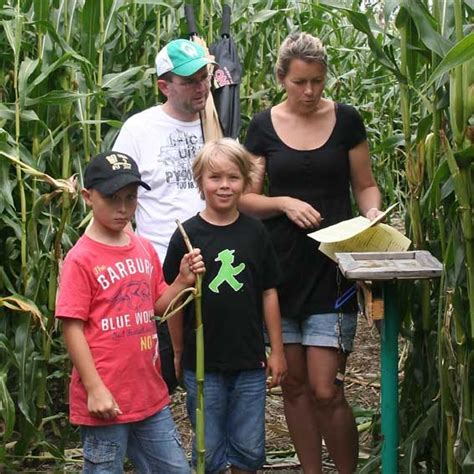 Fotos hofreiter selber Ernten Beeren Gemüse BeerenCafé München