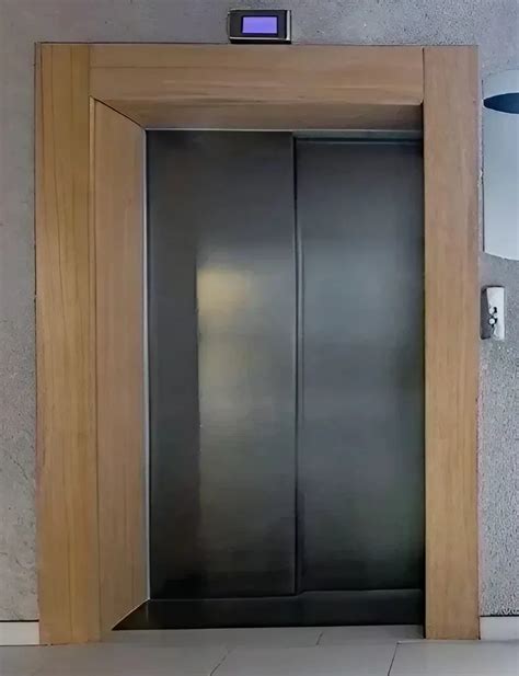 Paradise Stainless Steel Automatic Residential Elevator With Machine