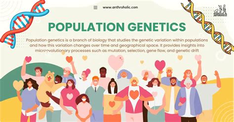 Population Genetics In Anthropology Anthroholic