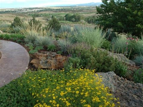 July Is Smart Irrigation Month In Colorado Lifescape Colorado