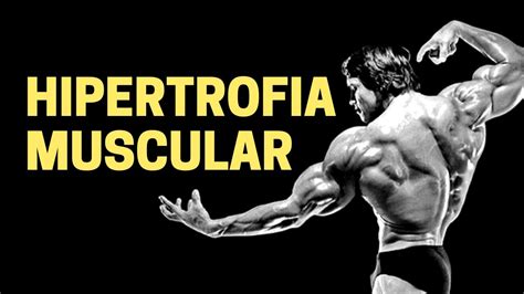 Fisiologia Da Hipertrofia Muscular Fisiologia Humana YouTube