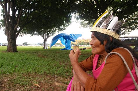 ACAMPAMENTO REVOLUCIONÁRIO INDÍGENA A sombra dos poderes