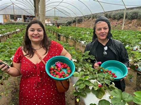 Famtour Apresenta Regi O Das Montanhas Capixabas A Operadores De