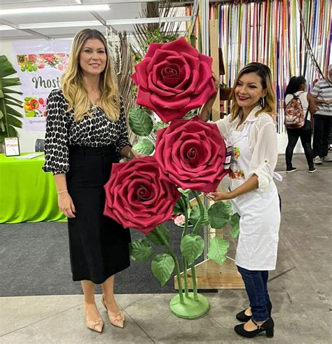 Rio Artes Manuais Analine Castro Em 2023 Rosas De Eva Manualidades