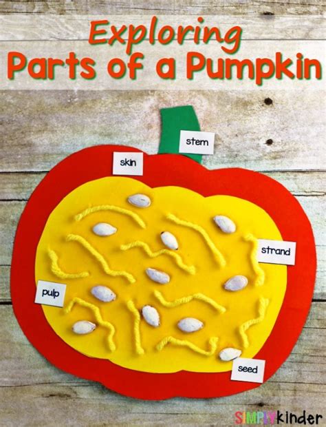 Exploring The Parts Of A Pumpkin Simply Kinder