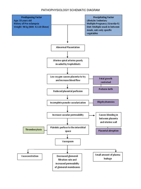 Pathophysiology Of Preeclampsia A Schematic Diagram Illustrating