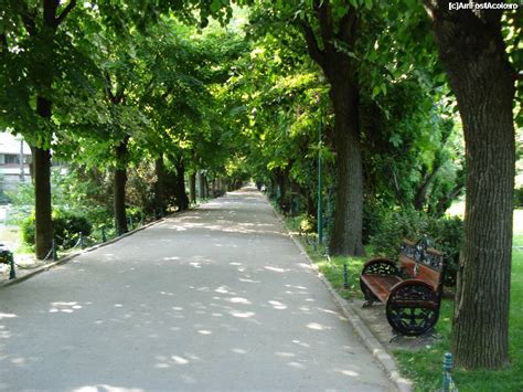 Poze Parcuri Bucureştene BucureȘti Fotografii Excursie Informatii