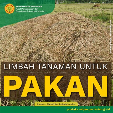 Limbah Tanaman Untuk Pakan