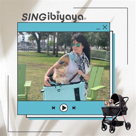 Ibiyaya PET Products - Home