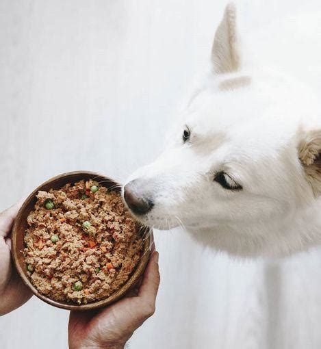 Alimentos Saludables Para Perros Mascotas