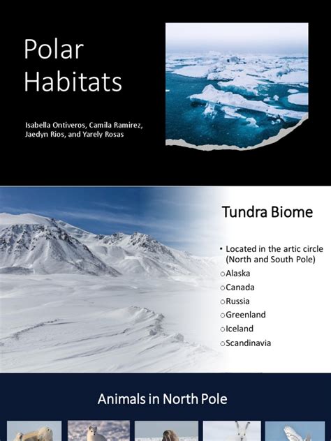 Polar Habitat | PDF | Pinniped | Predation