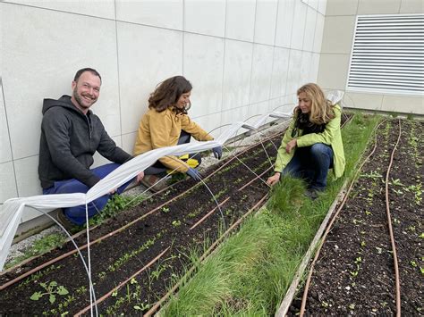 Wecandoo Apprenez à cultiver votre potager urbain