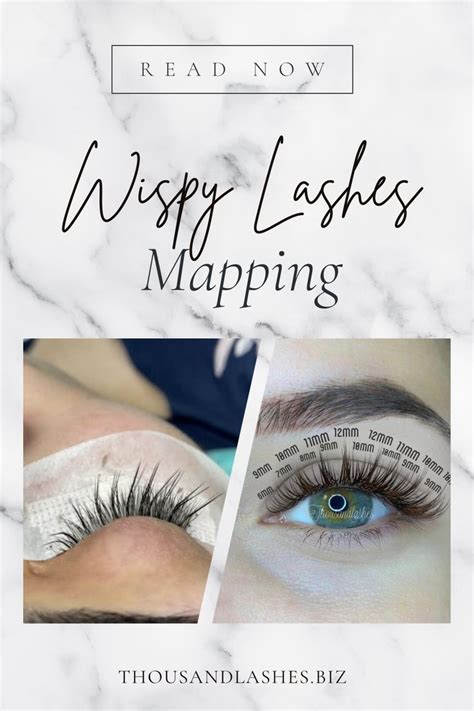 A Comprehensive Guide To Lash Mapping Artofit