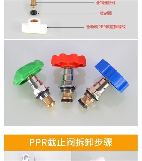 P PPR Check Valve Valve Core Lift Type Copper Gate Valve Hot And Cold Water Pipe D20 25 32 4 6