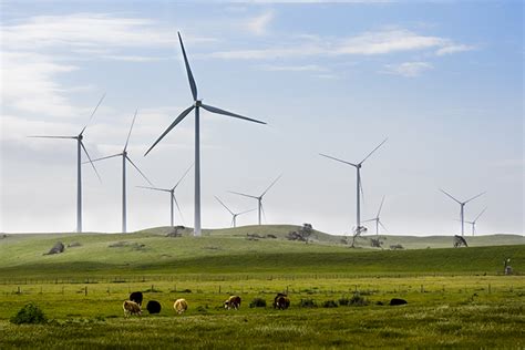 Iberdrola Acquires World S Largest Onshore Wind Farm With Mw In