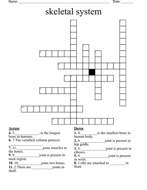 Skeletal System Crossword Wordmint