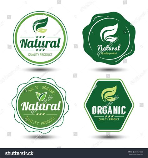 Set Eco Labels Badgesemblem Leaves Vector Stock Vector Royalty Free