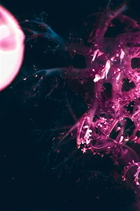 light sensitive colours  behance