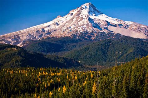 Mt Hood Oregon Cascades Day Guided Climb Day Trip E S